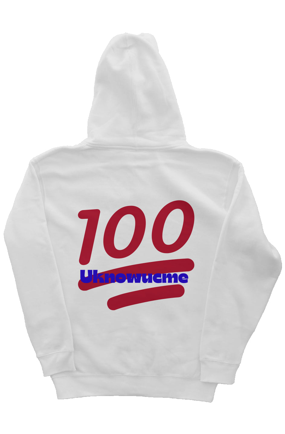 The Logo heavyweight pullover hoodie