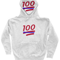 The Logo heavyweight pullover hoodie