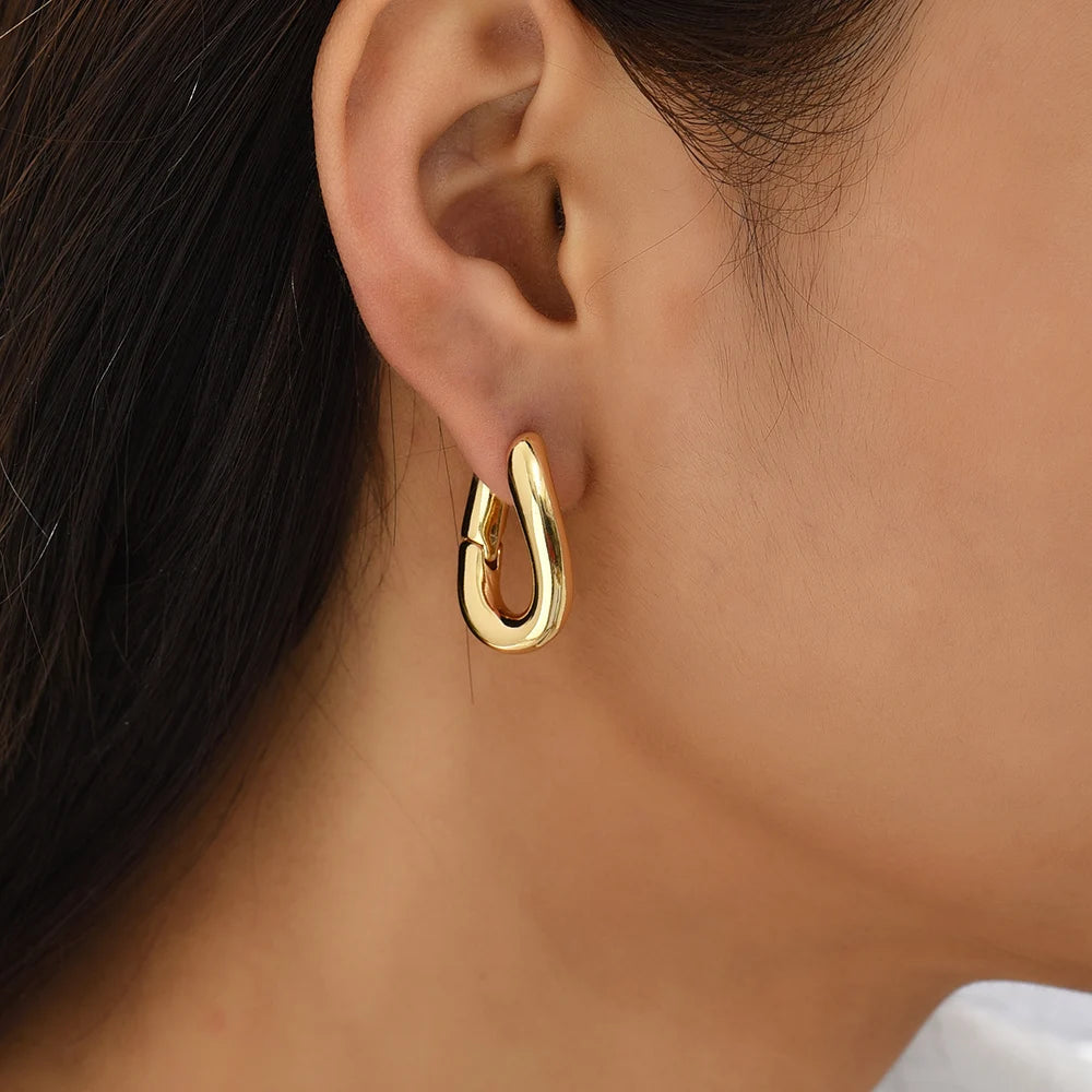 Minimalist Gold Plated Twisted Figaro Circle Round Shape Huggies Earring for Women Punk Glossy Metal Hinged Back Hoop Earrings - Uknowucme