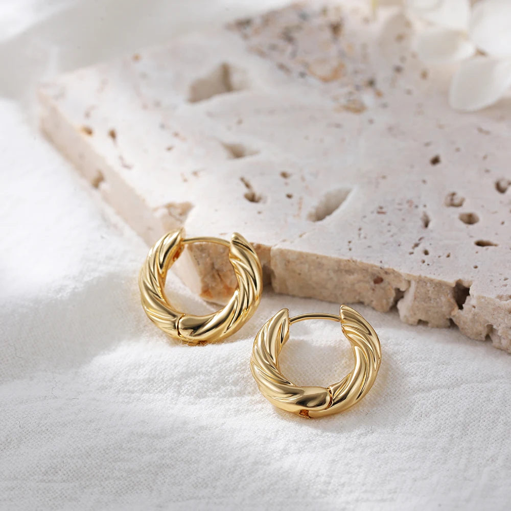 Minimalist Gold Plated Twisted Figaro Circle Round Shape Huggies Earring for Women Punk Glossy Metal Hinged Back Hoop Earrings - Uknowucme
