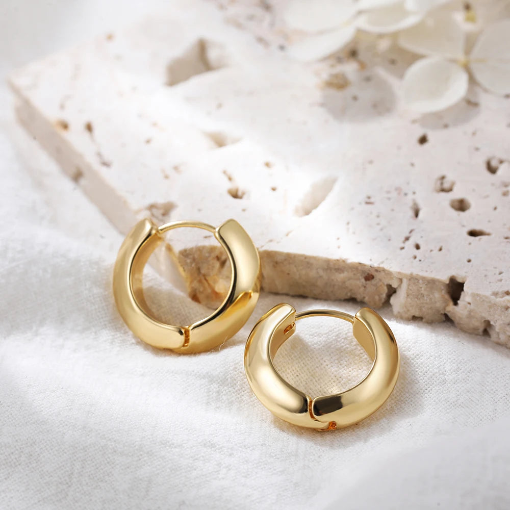 Minimalist Gold Plated Twisted Figaro Circle Round Shape Huggies Earring for Women Punk Glossy Metal Hinged Back Hoop Earrings - Uknowucme