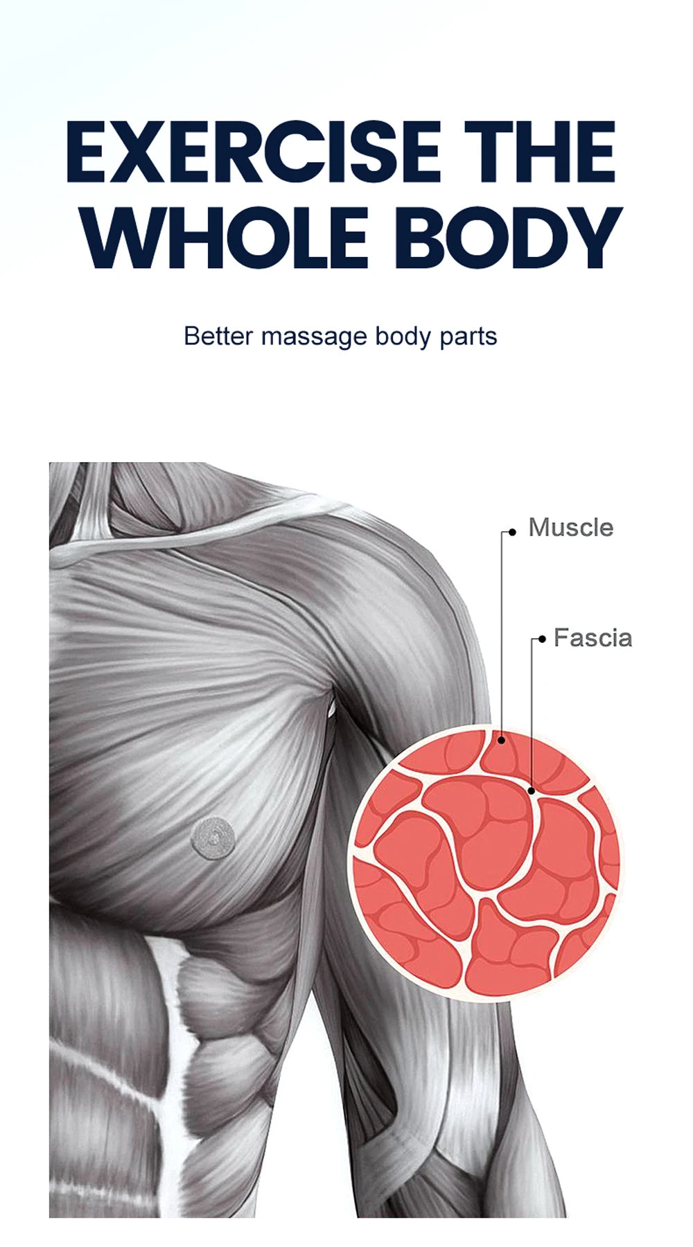 Massage Gun 30 Speed& 8 Heads Deep Tissue High Percussion Muscle Back Neck Massager For Athletes Pain Relief Fascia Gun