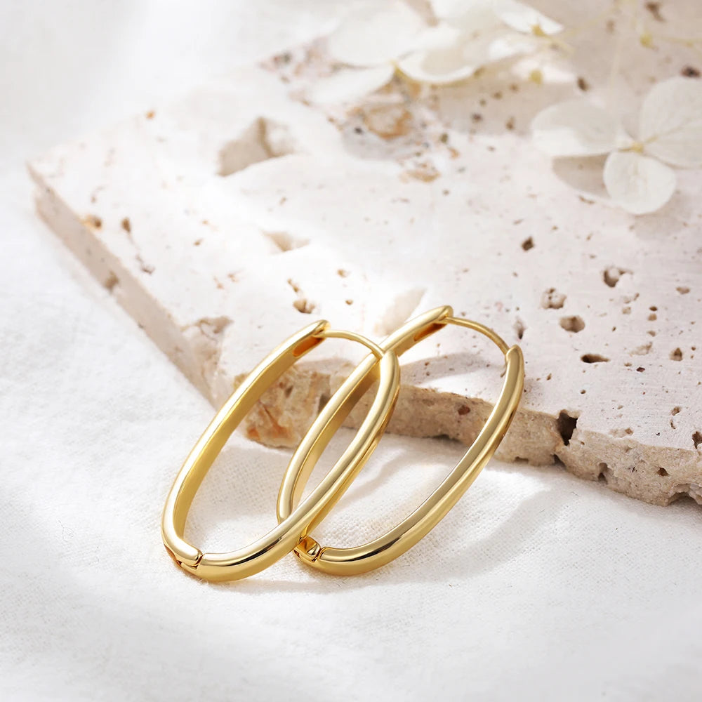 Minimalist Gold Plated Twisted Figaro Circle Round Shape Huggies Earring for Women Punk Glossy Metal Hinged Back Hoop Earrings - Uknowucme