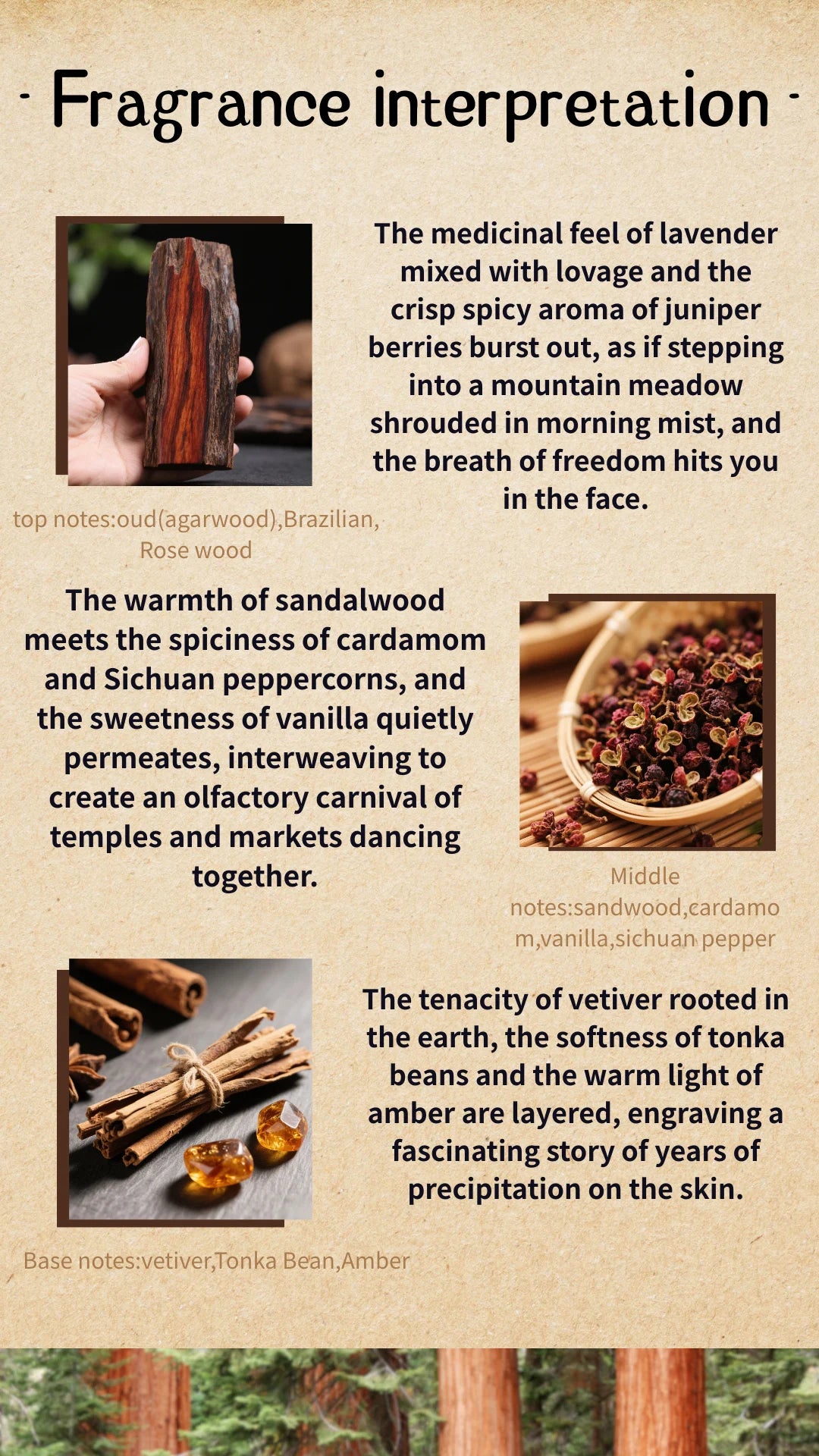 Arabian Oud Perfume perfume unisex luxury woody spicy long lasting Dark Woody Unisex Fragrance - Rare Oud Sichuan Pepper Vetiver - Uknowucme