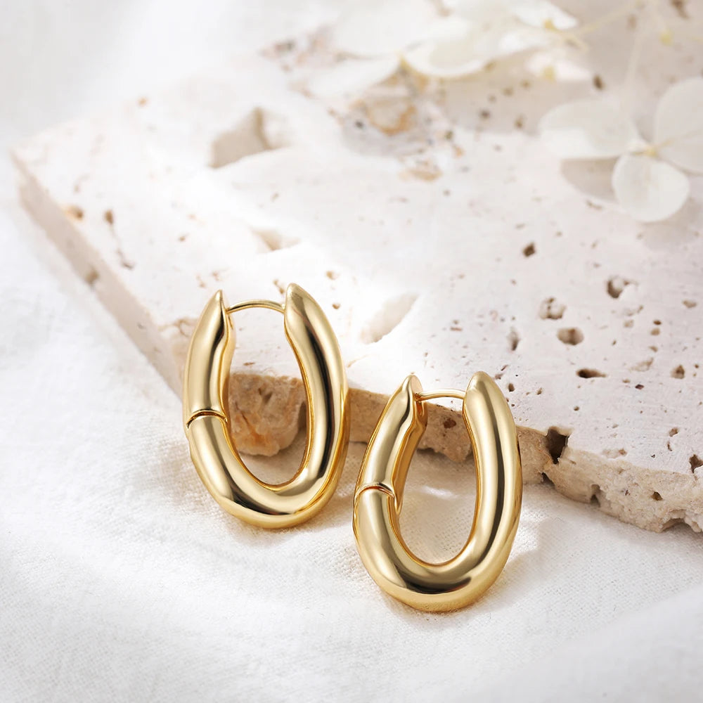 Minimalist Gold Plated Twisted Figaro Circle Round Shape Huggies Earring for Women Punk Glossy Metal Hinged Back Hoop Earrings - Uknowucme