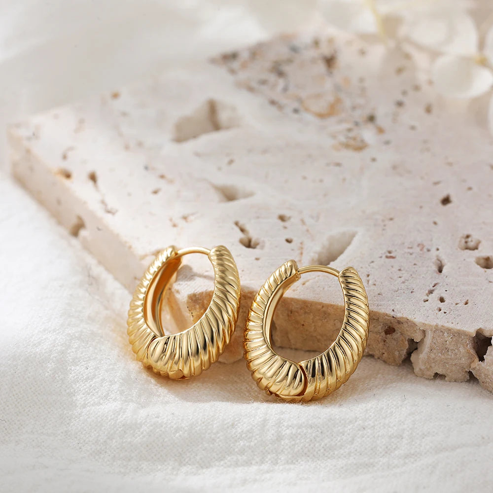 Minimalist Gold Plated Twisted Figaro Circle Round Shape Huggies Earring for Women Punk Glossy Metal Hinged Back Hoop Earrings - Uknowucme