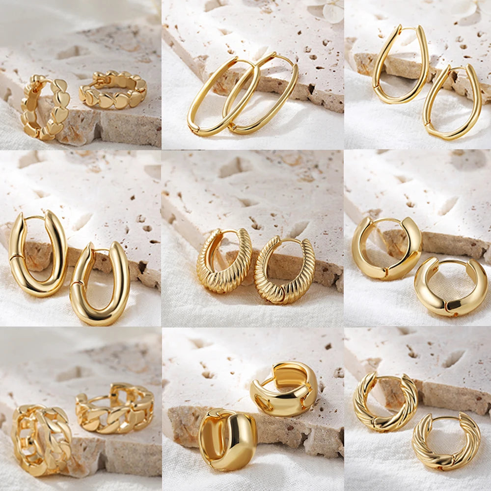 Minimalist Gold Plated Twisted Figaro Circle Round Shape Huggies Earring for Women Punk Glossy Metal Hinged Back Hoop Earrings - Uknowucme