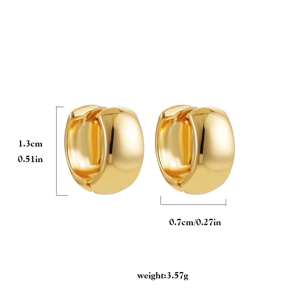 Minimalist Gold Plated Twisted Figaro Circle Round Shape Huggies Earring for Women Punk Glossy Metal Hinged Back Hoop Earrings - Uknowucme
